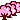 桜.gif